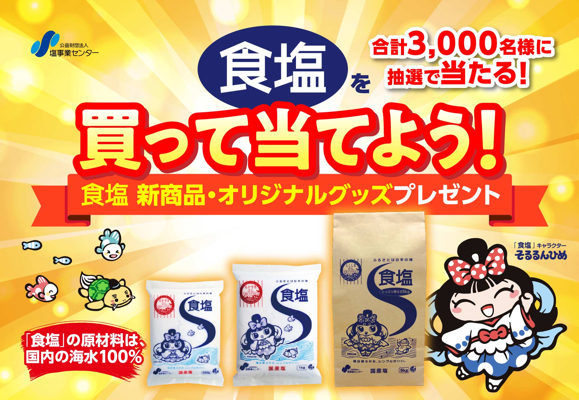 162円 【使い勝手の良い】 ■男鹿半島の塩■おにぎり塩 40g《手作り天然塩》 162円 【使い勝手の良い】 ■男鹿半島の塩■おにぎり塩 40g《手作り天然塩》